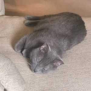 Meet your Posher, Kathy